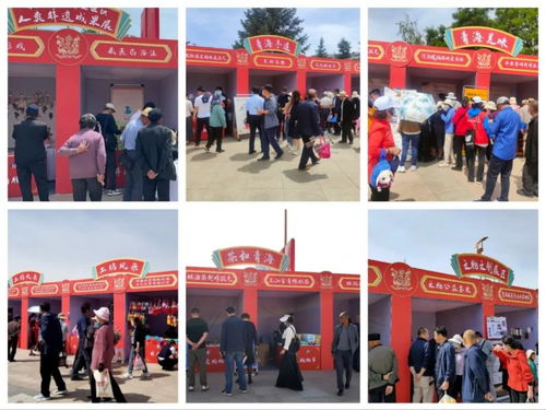 多彩非遺薈萃 傳統文化彰顯時代魅力——2023年青海省文化和自然遺產日暨非遺購物節圓滿落幕